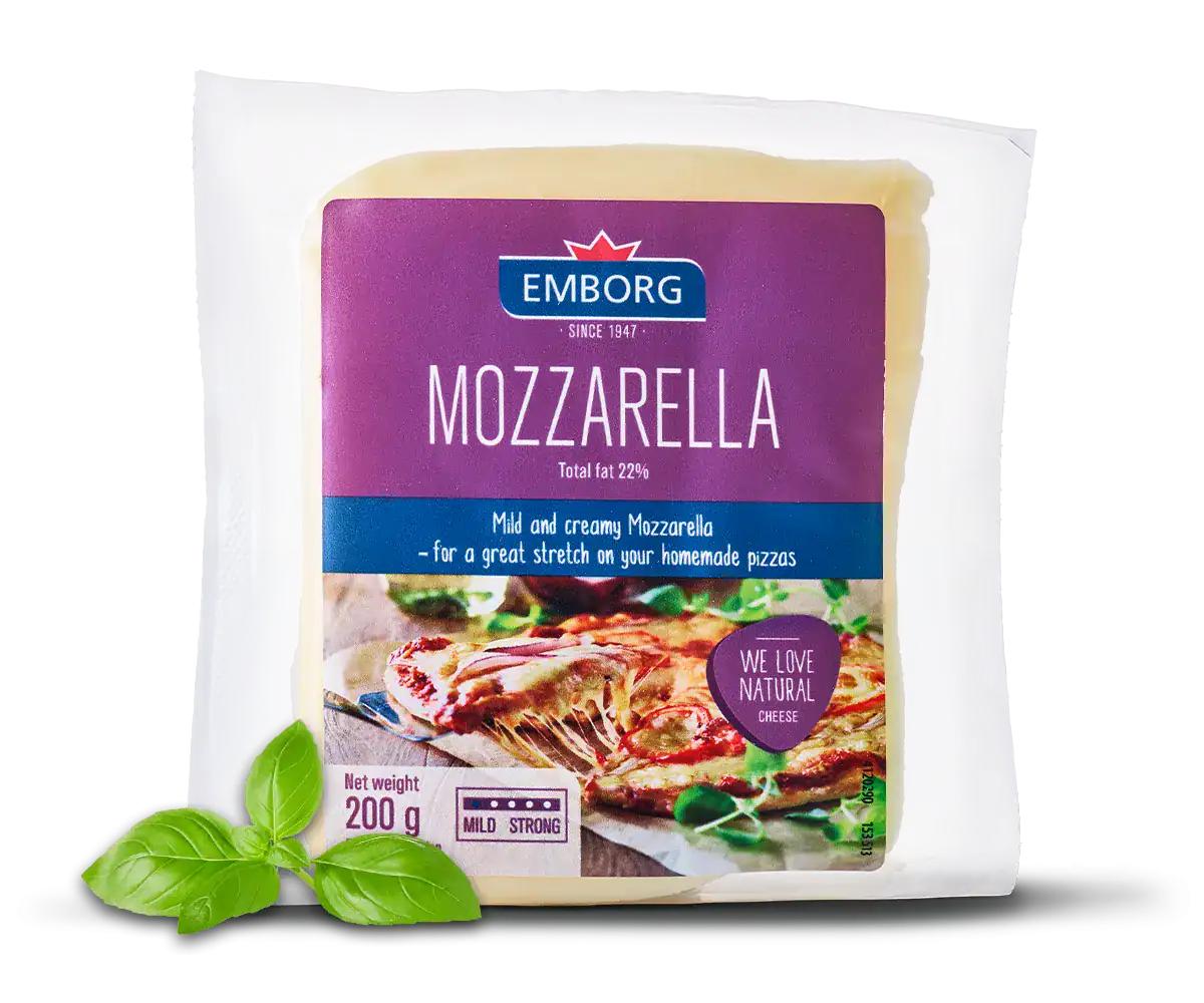Mozzarella Cheese Block - Emborg Philippines