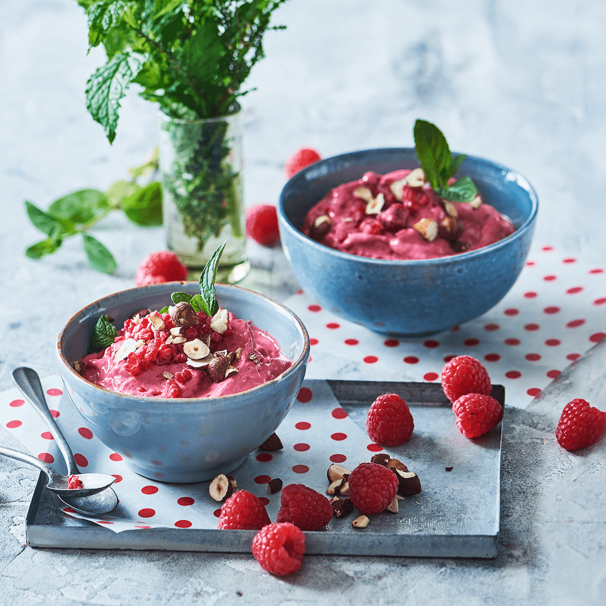 Instant Frozen Berry Yogurt - Emborg Philippines