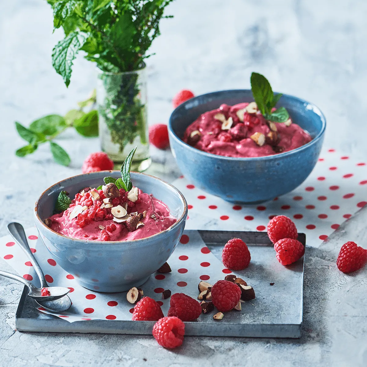 Instant Frozen Berry Yogurt - Emborg Singapore