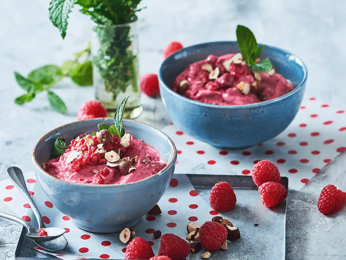 Instant Frozen Berry Yogurt - Emborg Singapore