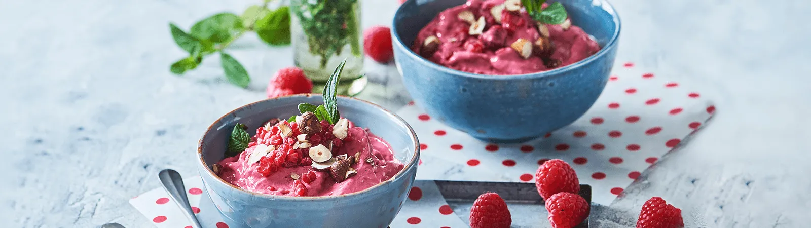Instant Frozen Berry Yogurt - Emborg Singapore
