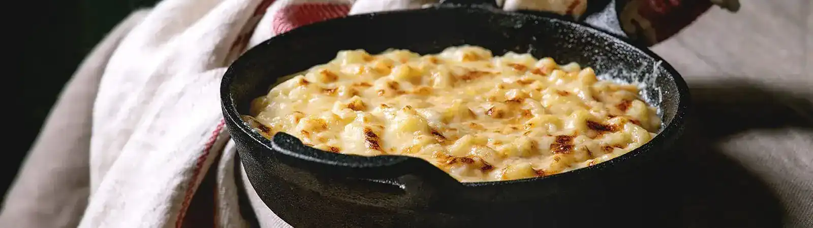 Chicken Alfredo Pasta Bake - Emborg Singapore