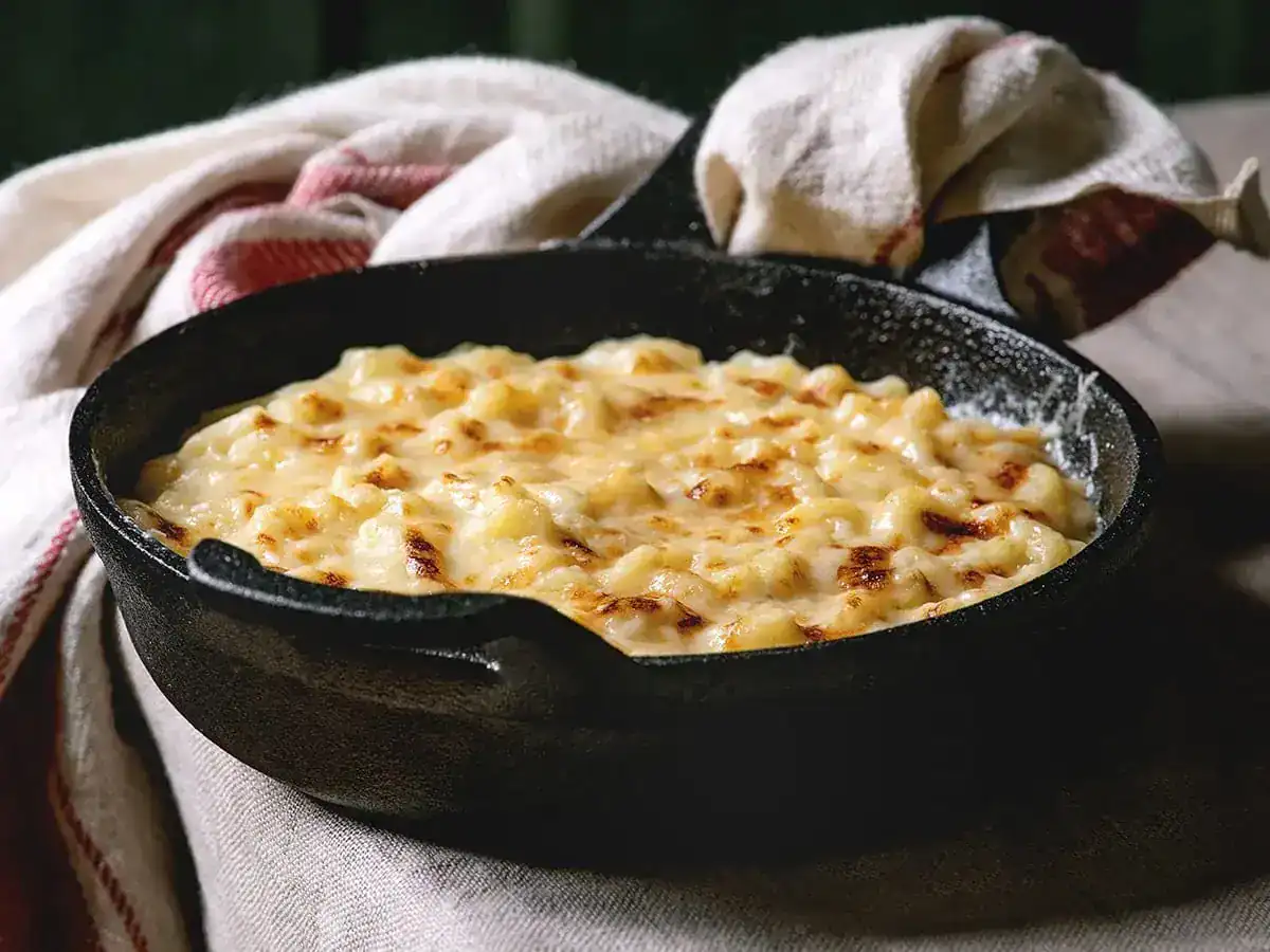 Chicken Alfredo Pasta Bake - Emborg Singapore
